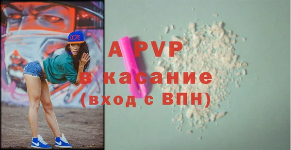 трава Белокуриха
