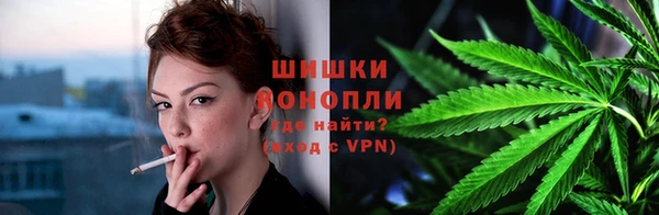 трава Белокуриха