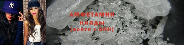 трава Белокуриха