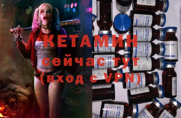 трава Белокуриха