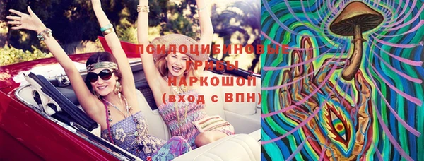 трава Белокуриха