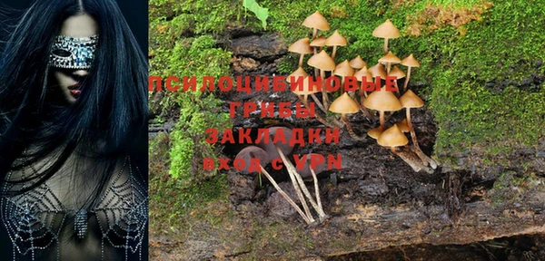 трава Белокуриха